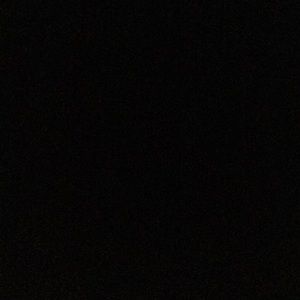 Meet your Posher, Eva